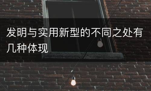 发明与实用新型的不同之处有几种体现