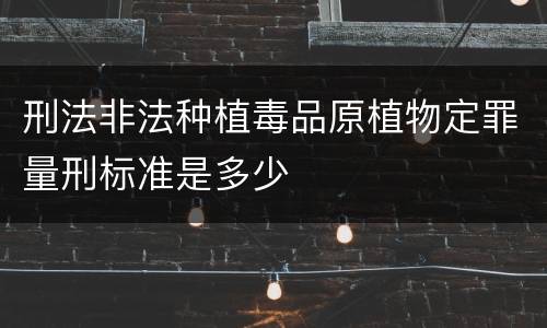 刑法非法种植毒品原植物定罪量刑标准是多少