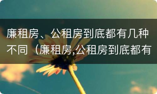 廉租房、公租房到底都有几种不同（廉租房,公租房到底都有几种不同类型）