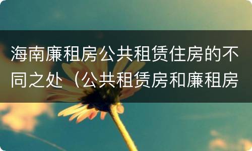 海南廉租房公共租赁住房的不同之处（公共租赁房和廉租房）