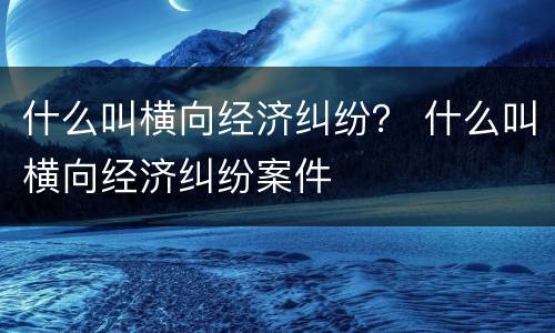 什么叫横向经济纠纷？ 什么叫横向经济纠纷案件