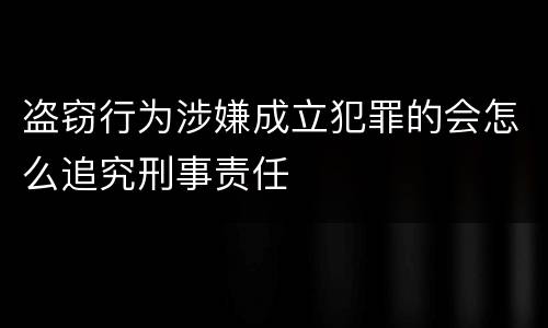 盗窃行为涉嫌成立犯罪的会怎么追究刑事责任