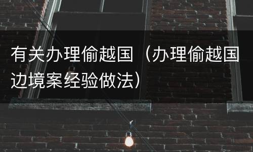 有关办理偷越国（办理偷越国边境案经验做法）