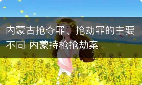 内蒙古抢夺罪、抢劫罪的主要不同 内蒙持枪抢劫案