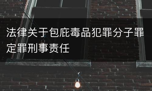 法律关于包庇毒品犯罪分子罪定罪刑事责任