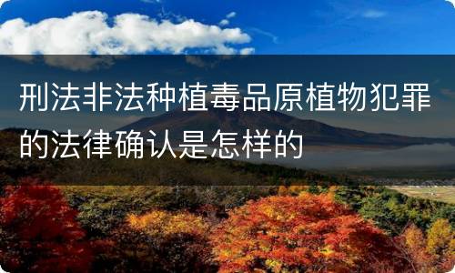 刑法非法种植毒品原植物犯罪的法律确认是怎样的