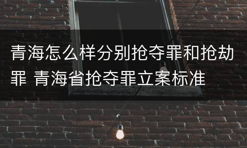 青海怎么样分别抢夺罪和抢劫罪 青海省抢夺罪立案标准