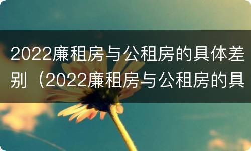 2022廉租房与公租房的具体差别（2022廉租房与公租房的具体差别是什么）