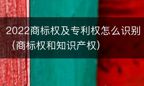 2022商标权及专利权怎么识别（商标权和知识产权）