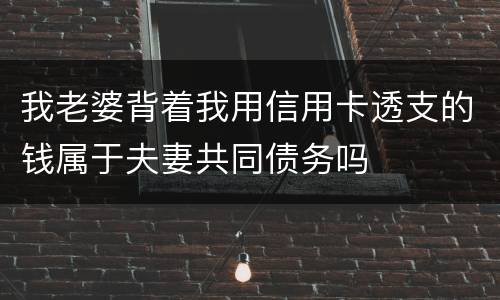 我老婆背着我用信用卡透支的钱属于夫妻共同债务吗