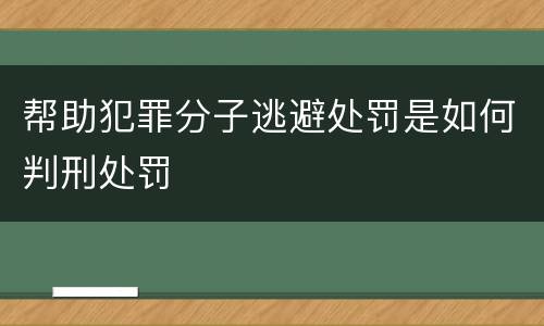 帮助犯罪分子逃避处罚是如何判刑处罚