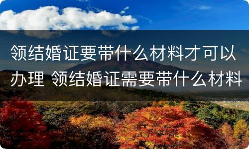 领结婚证要带什么材料才可以办理 领结婚证需要带什么材料