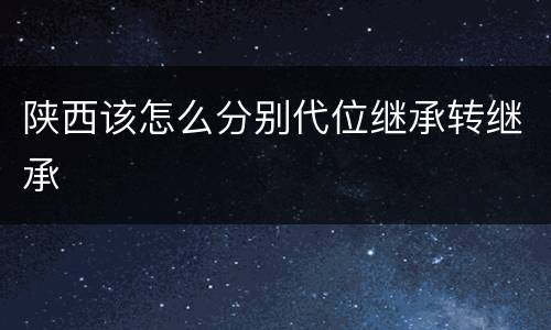 陕西该怎么分别代位继承转继承