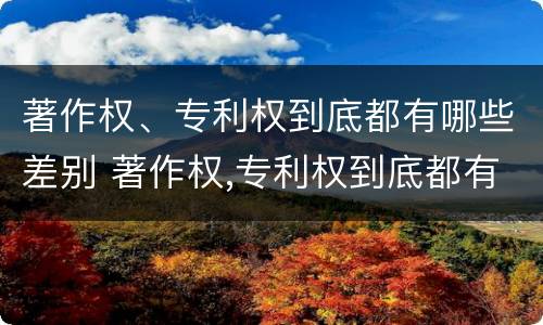 著作权、专利权到底都有哪些差别 著作权,专利权到底都有哪些差别呢