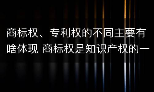 商标权、专利权的不同主要有啥体现 商标权是知识产权的一种吗