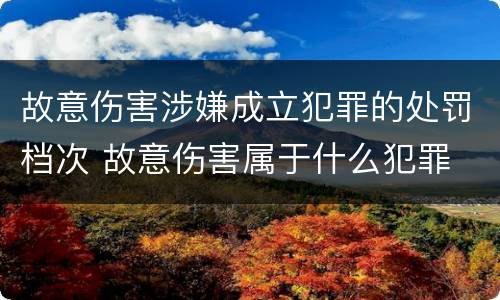 故意伤害涉嫌成立犯罪的处罚档次 故意伤害属于什么犯罪