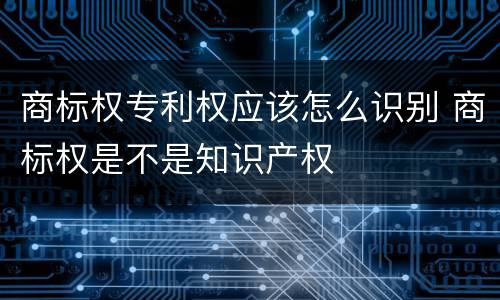 商标权专利权应该怎么识别 商标权是不是知识产权