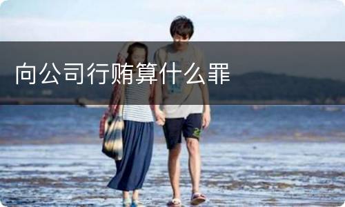 向公司行贿算什么罪