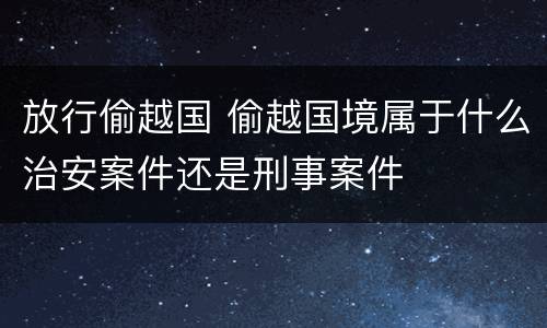 放行偷越国 偷越国境属于什么治安案件还是刑事案件