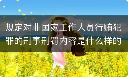 规定对非国家工作人员行贿犯罪的刑事刑罚内容是什么样的