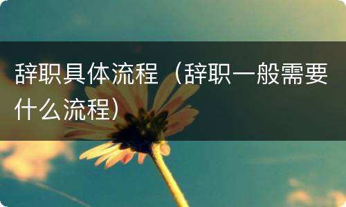 辞职具体流程（辞职一般需要什么流程）