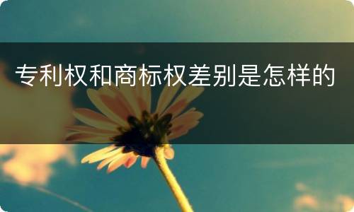 专利权和商标权差别是怎样的