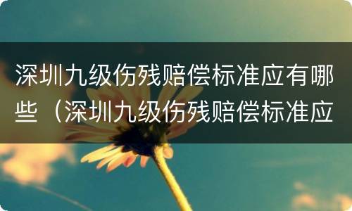 深圳九级伤残赔偿标准应有哪些（深圳九级伤残赔偿标准应有哪些补助）