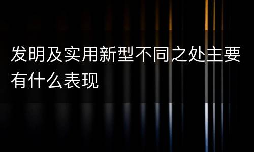 发明及实用新型不同之处主要有什么表现