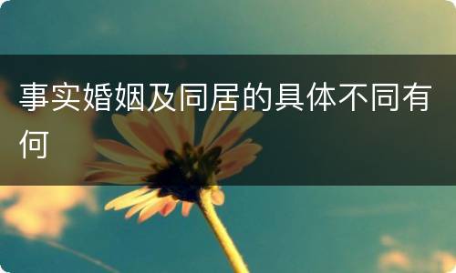 事实婚姻及同居的具体不同有何