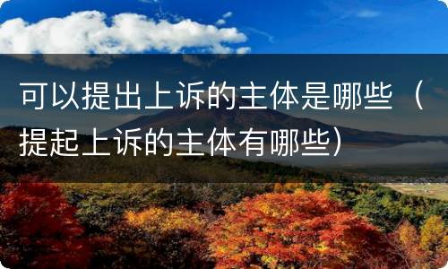 可以提出上诉的主体是哪些（提起上诉的主体有哪些）