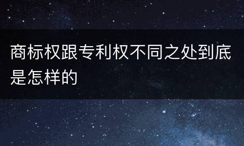 商标权跟专利权不同之处到底是怎样的