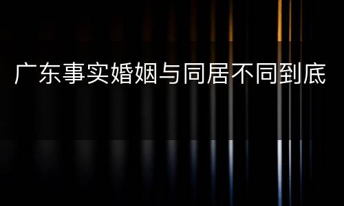 广东事实婚姻与同居不同到底