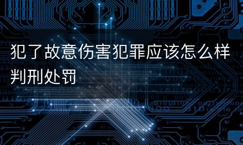 犯了故意伤害犯罪应该怎么样判刑处罚