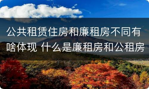 公共租赁住房和廉租房不同有啥体现 什么是廉租房和公租房两个有什么特点