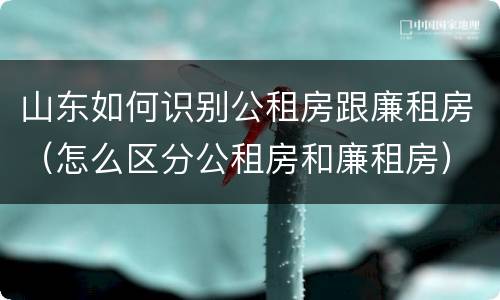 山东如何识别公租房跟廉租房（怎么区分公租房和廉租房）