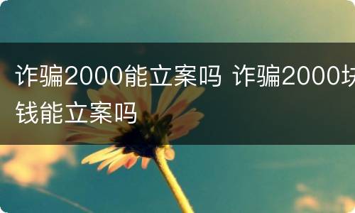 诈骗2000能立案吗 诈骗2000块钱能立案吗