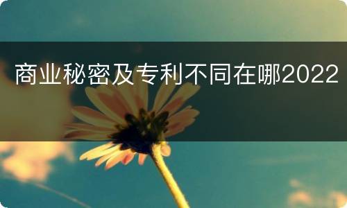 商业秘密及专利不同在哪2022