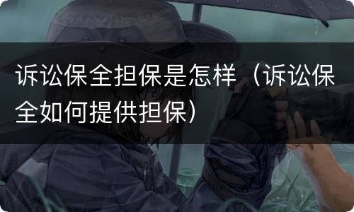 诉讼保全担保是怎样（诉讼保全如何提供担保）