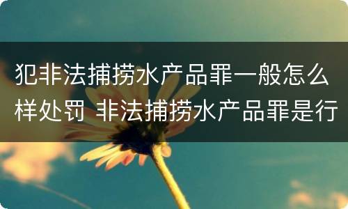 犯非法捕捞水产品罪一般怎么样处罚 非法捕捞水产品罪是行为犯吗