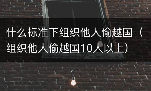 什么标准下组织他人偷越国（组织他人偷越国10人以上）