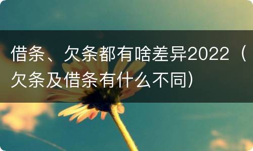 借条、欠条都有啥差异2022（欠条及借条有什么不同）
