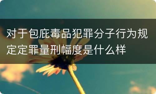 对于包庇毒品犯罪分子行为规定定罪量刑幅度是什么样
