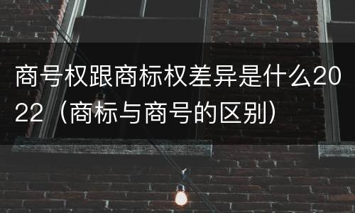 商号权跟商标权差异是什么2022（商标与商号的区别）
