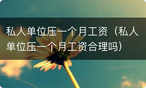 私人单位压一个月工资（私人单位压一个月工资合理吗）