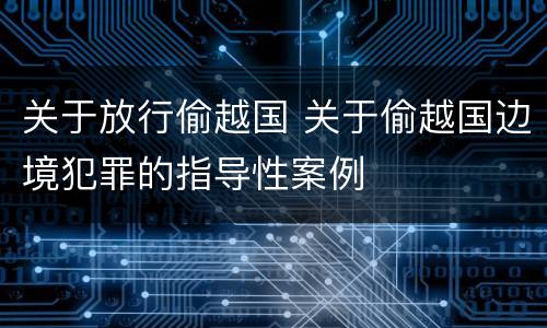 关于放行偷越国 关于偷越国边境犯罪的指导性案例