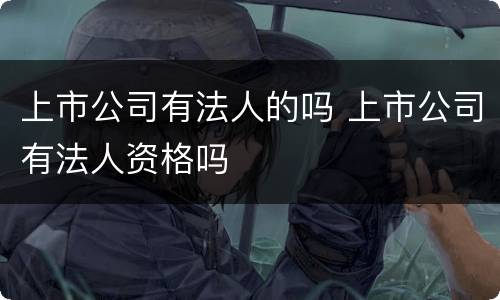 上市公司有法人的吗 上市公司有法人资格吗