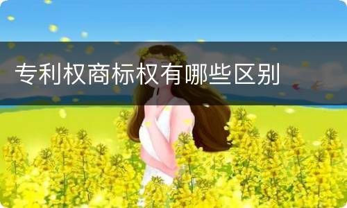 专利权商标权有哪些区别