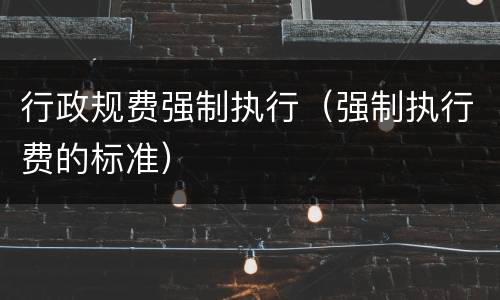 行政规费强制执行（强制执行费的标准）