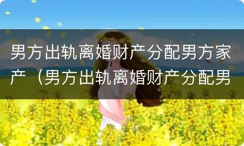 男方出轨离婚财产分配男方家产（男方出轨离婚财产分配男方家产怎么办）