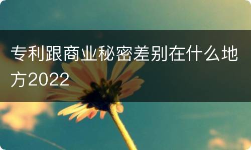 专利跟商业秘密差别在什么地方2022